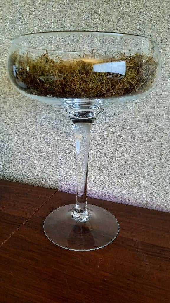 mooie grote glazen schaal op voet/ bloemstuk/ bonbonnière, Ophalen of Verzenden