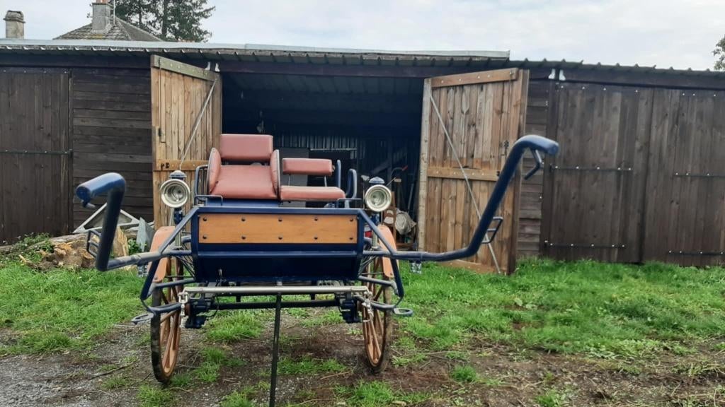 Calèche, Animaux & Accessoires, Voitures & Carrosses, Comme neuf, Autres types, Cheval ou Poney