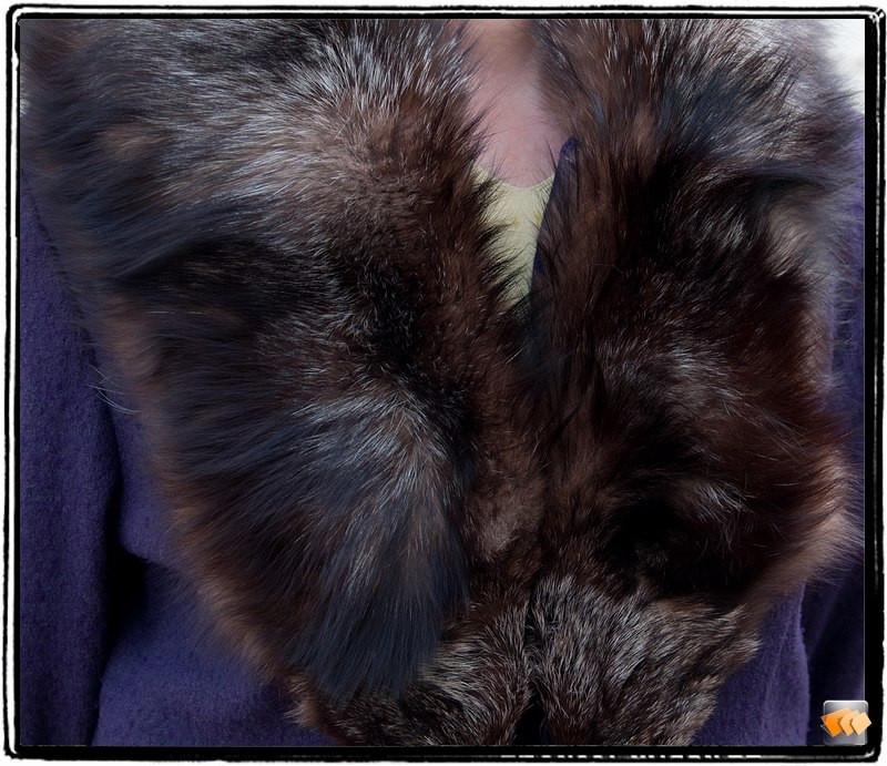 ZILVERVOS, Kleding | Dames, Jassen | Winter, Ophalen of Verzenden, Gedragen, Maat 38/40 (M), Blauw