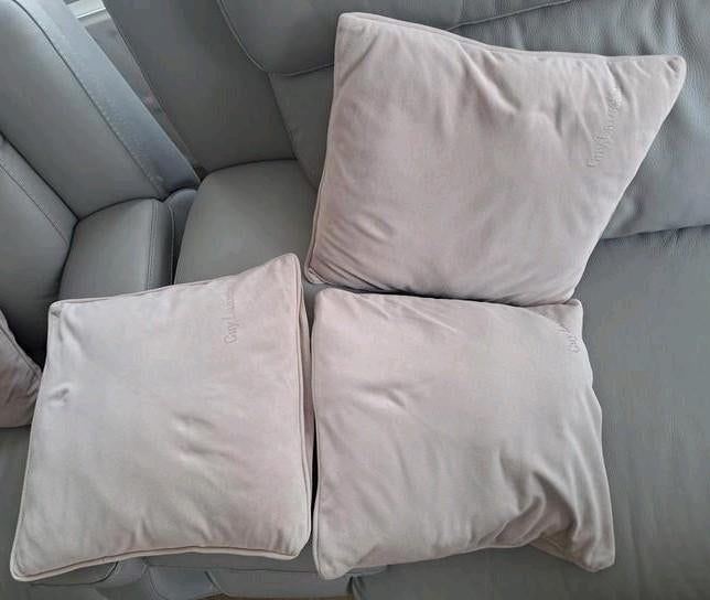 3 kwaliteitskussens van Guy Laroche. Betaalde €30 per stuk i, Zo goed als nieuw