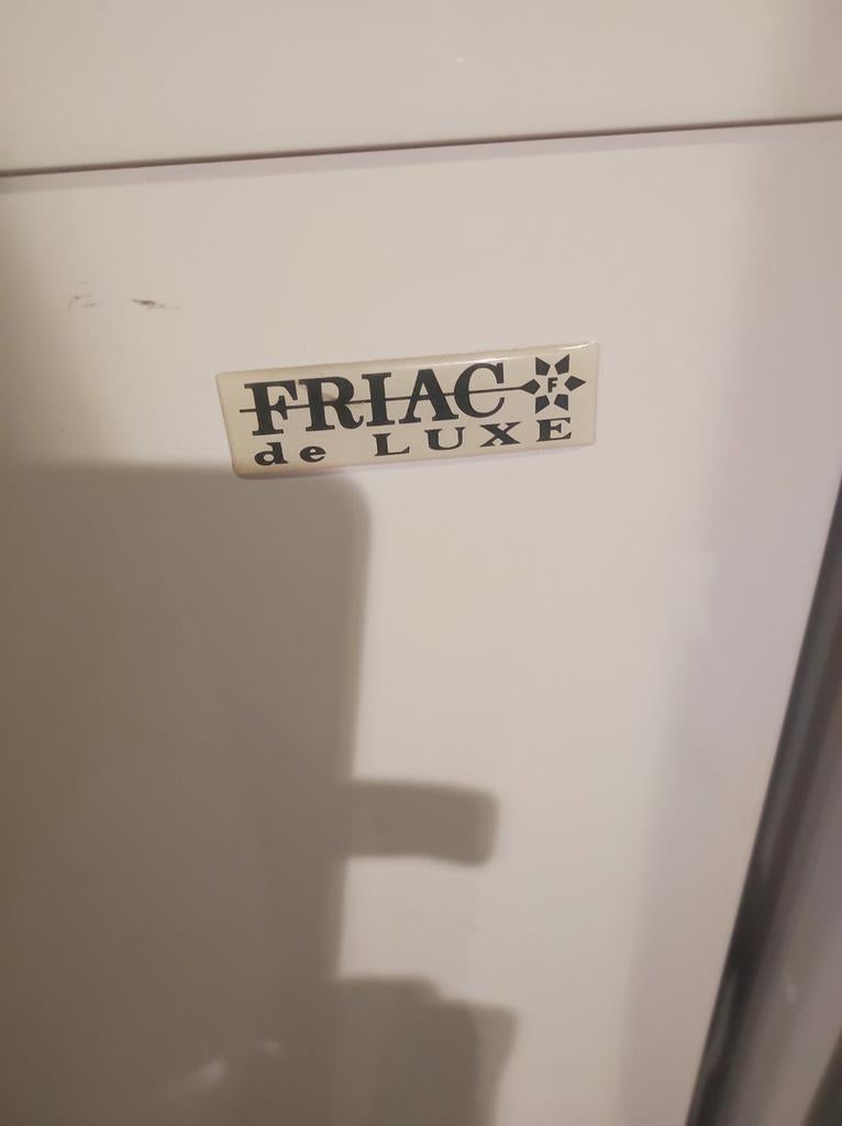 Frigo friac, Elektronische apparatuur, Vriezers en Diepvrieskisten, Ophalen