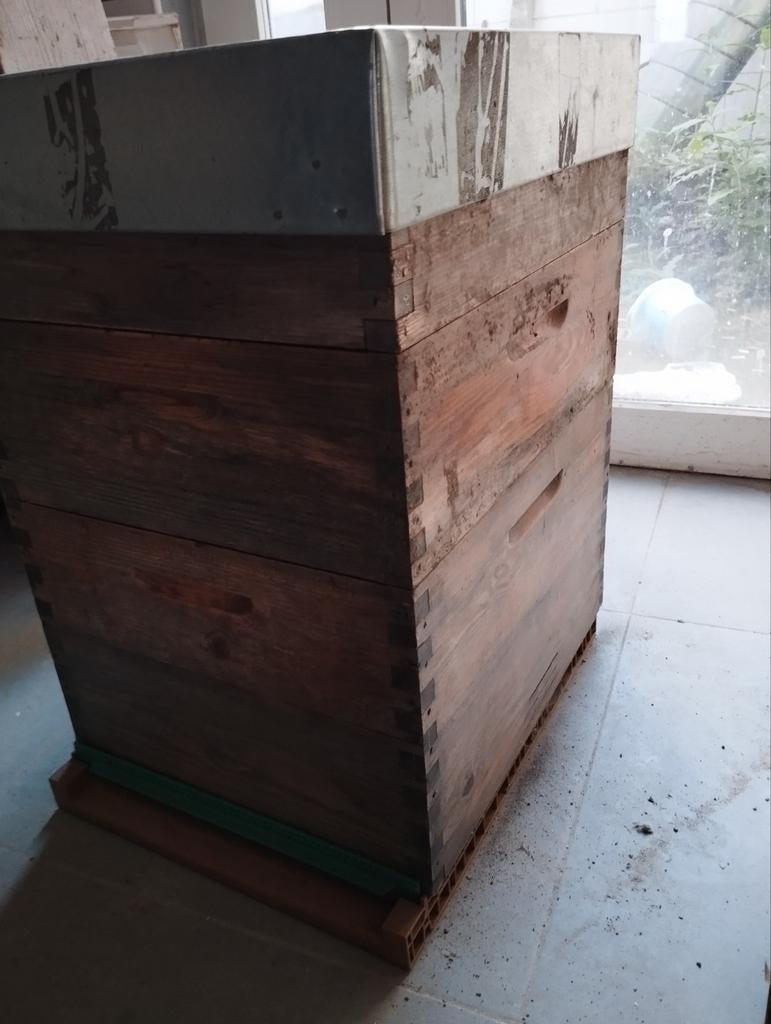 Complete Dadant bijenkast met Nicot bodem, Dieren en Toebehoren, Insecten en Spinnen, Bijen