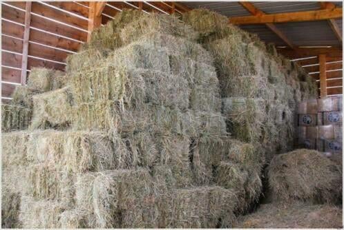 Petit ballot de foin 4€ Juprelle (Liège), Zakelijke goederen, Landbouw | Veevoer, Ophalen