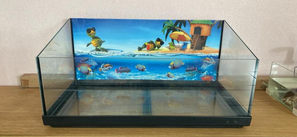 Aquairum schildpad, Dieren en Toebehoren, Schildpad