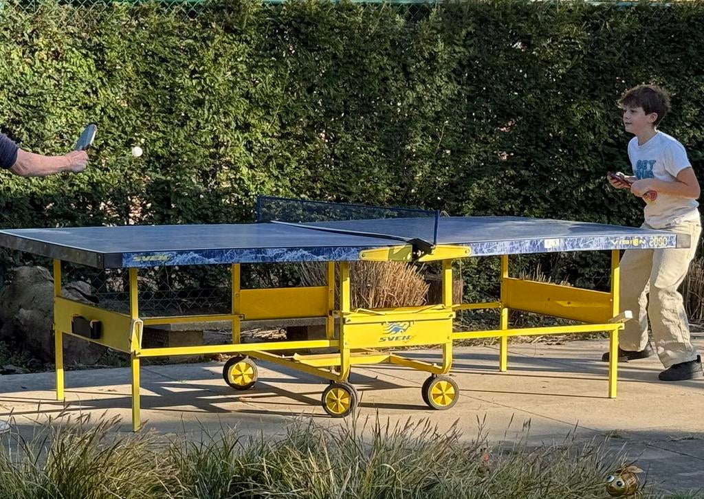 Pingpong tafel blauw opklapbaar, Sport en Fitness, Tafeltennis, Ophalen, Gebruikt, Tafel Indoor, Verrijdbaar