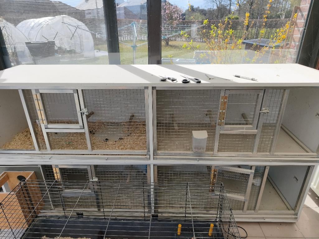 Kweekkooi, Enlèvement, Utilisé, Cage d'élevage