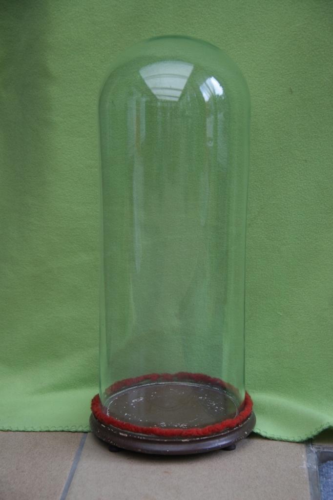 Hoge, antieke stolp, Huis en Inrichting, Woonaccessoires | Stolpen, Ophalen, Zo goed als nieuw