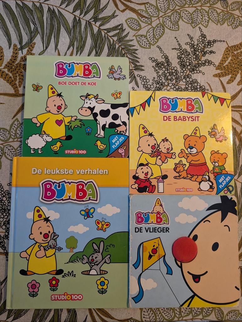 4 gebruikte boekjes van Bumba 8€+3 gratis beschadigde, Enlèvement ou Envoi