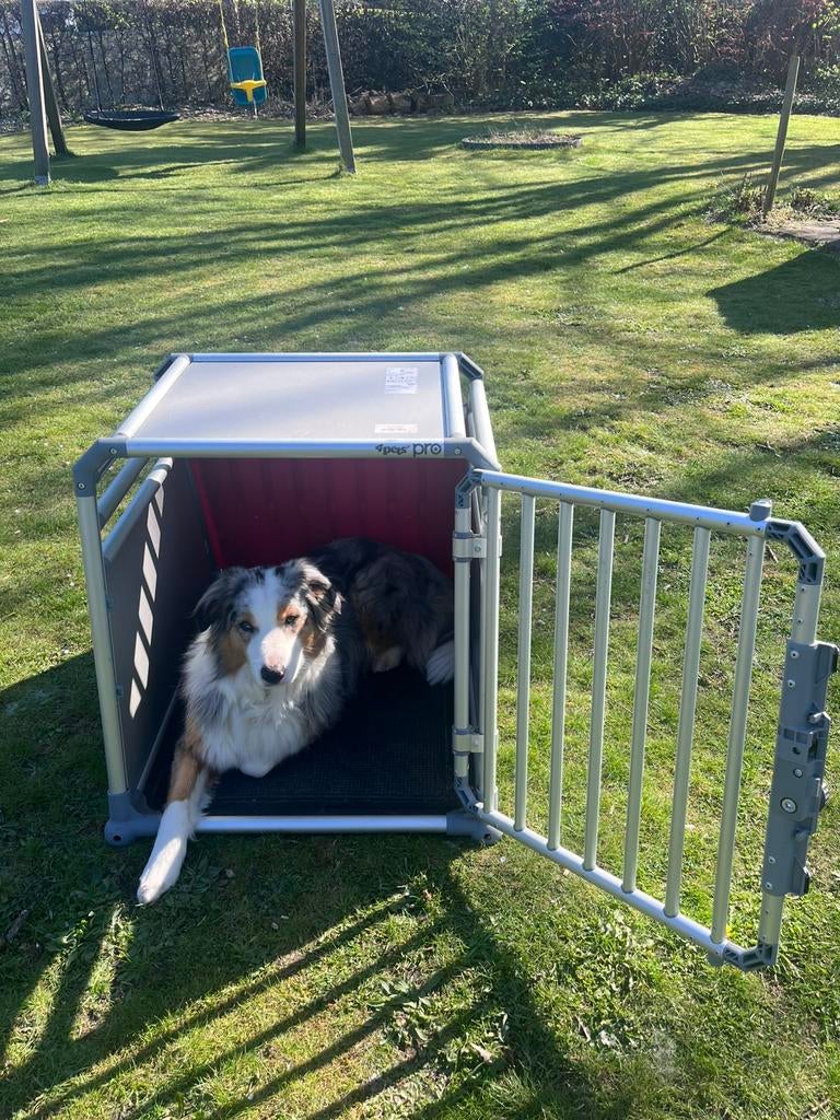 Banc pour chien dog box pro, Animaux & Accessoires, Enlèvement, Comme neuf