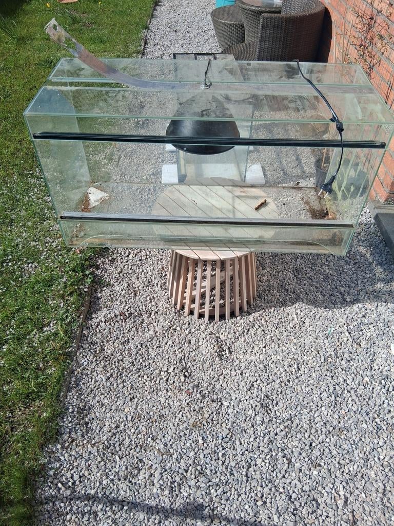 Terrarium, Dieren en Toebehoren, Ophalen