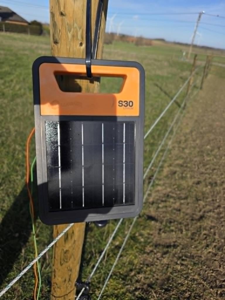 energizer, Dieren en Toebehoren, Stalling en Weidegang, Weidegang