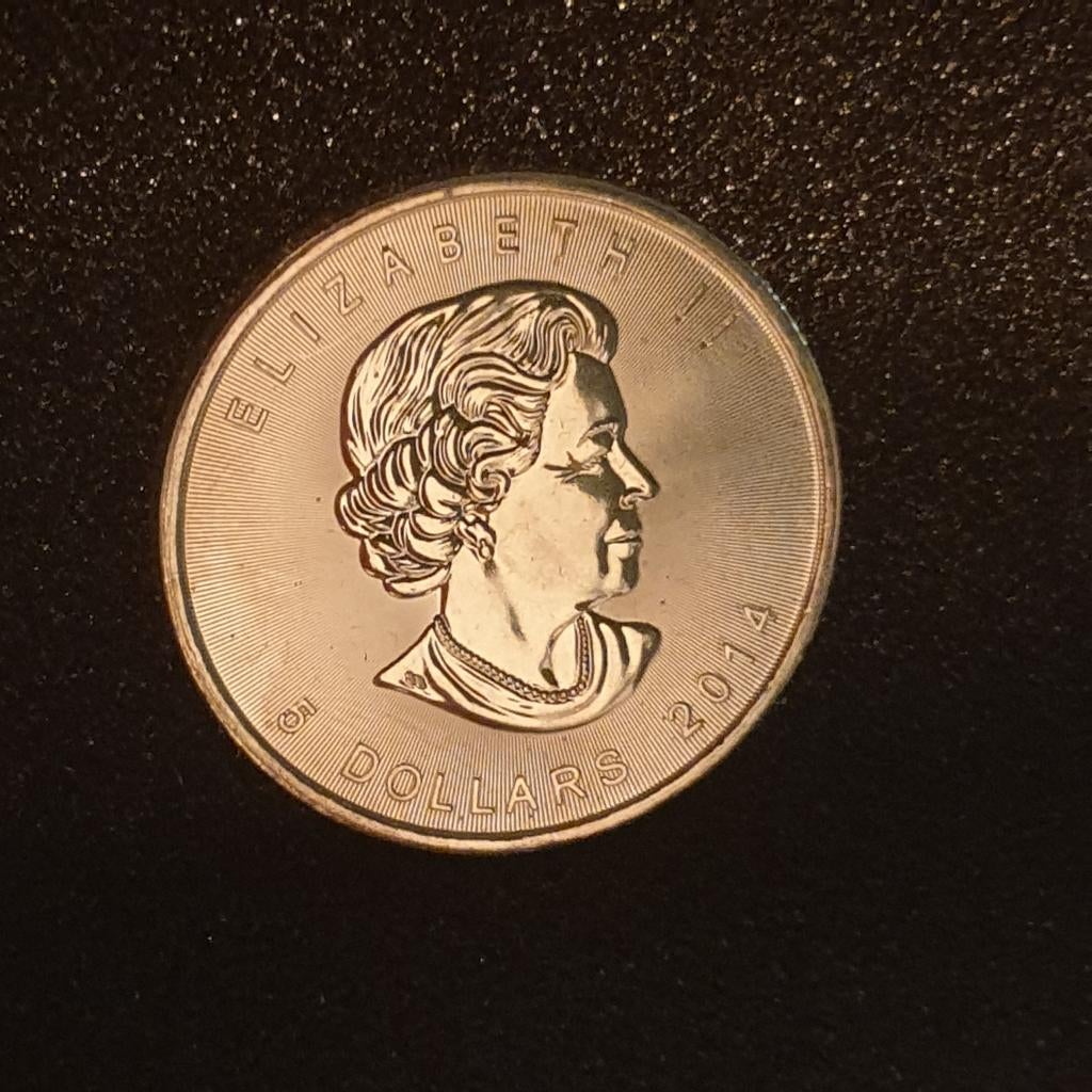 1 oz zilveren maple leaf canada 2014, Verzenden, Zilver