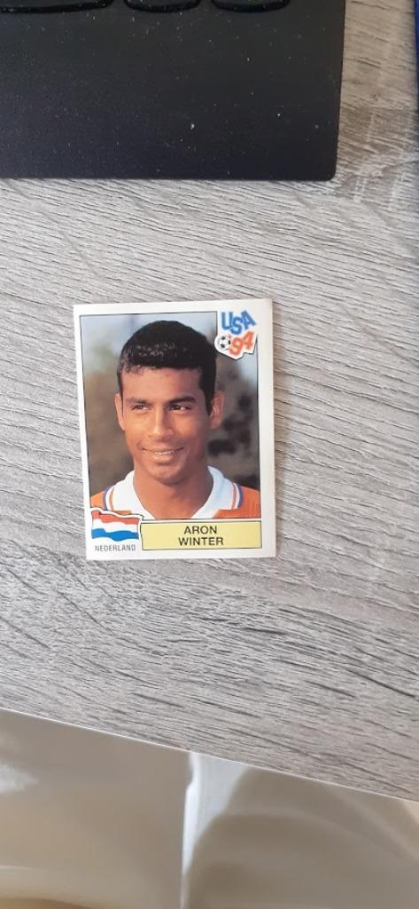 Panini WK USA 94 sticker Aron Winter. Zwarte rug., Ophalen of Verzenden, Zo goed als nieuw, Sport