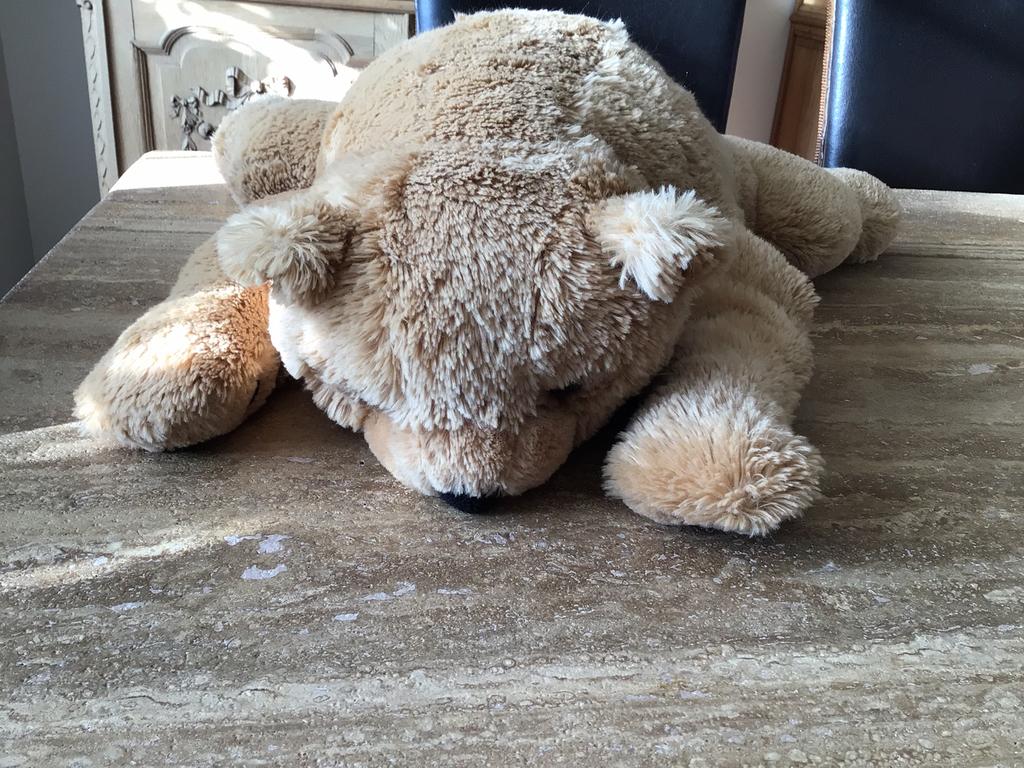 Liggende beer voor op bed, Ophalen, Zo goed als nieuw