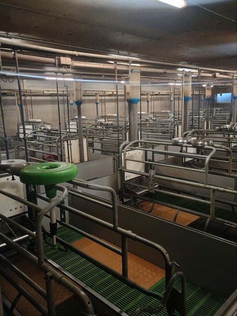 Zoek bijverdienste, varkensstallen uitspuiten, Vacatures, Vacatures | Landbouw, Natuur en Milieu