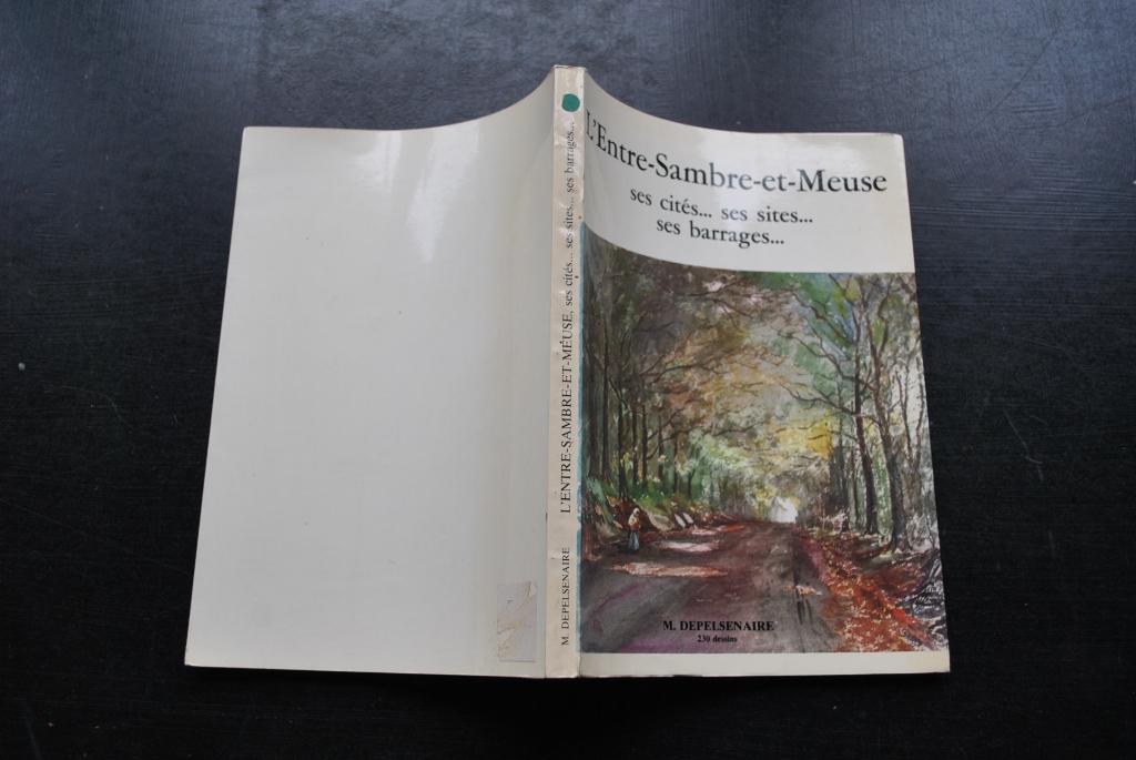 DEPELSENAIRE L'ENTRE SAMBRE ET MEUSE 230 dessins RARE, Enlèvement ou Envoi, Utilisé, 20e siècle ou après, DEPELSENAIRE