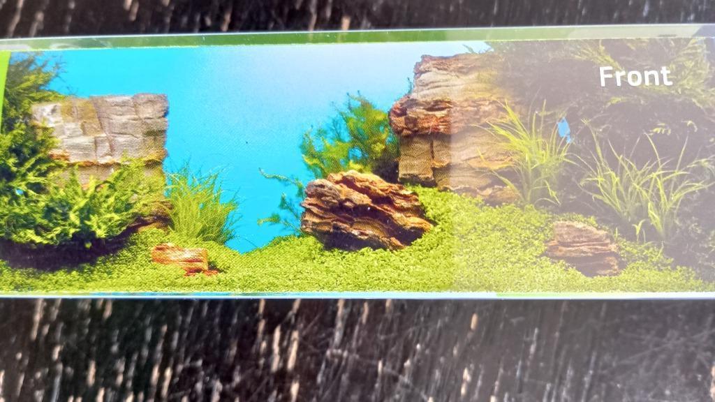 aquarium poster, Enlèvement, Neuf, Autres types