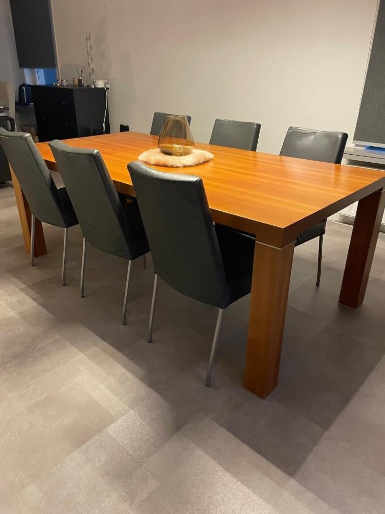 eetkamer + 6 stoelen, Ophalen, Gebruikt, Modern, 6 tot 8 stoelen