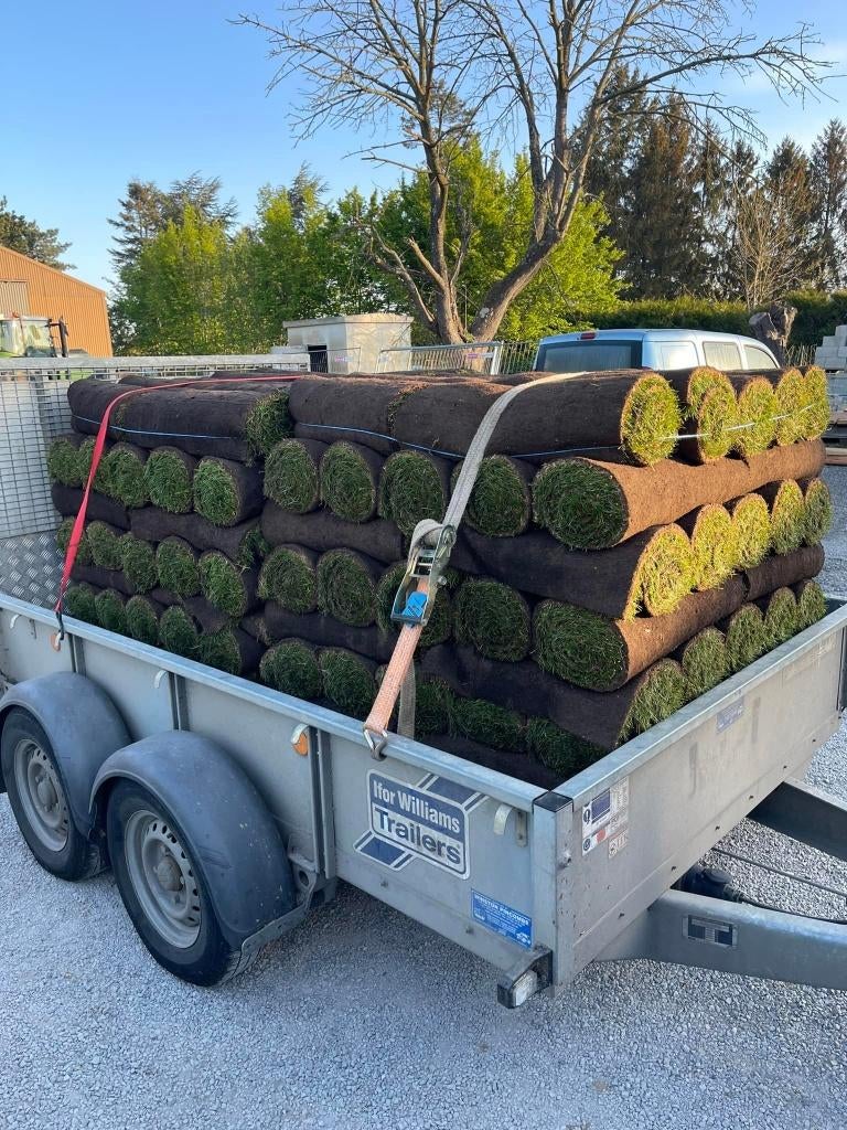 création de jardin pelouse en gazon, Jardin & Terrasse, Gazon & Gazon artificiel, Enlèvement, Neuf, 20 m² ou plus, Herbe