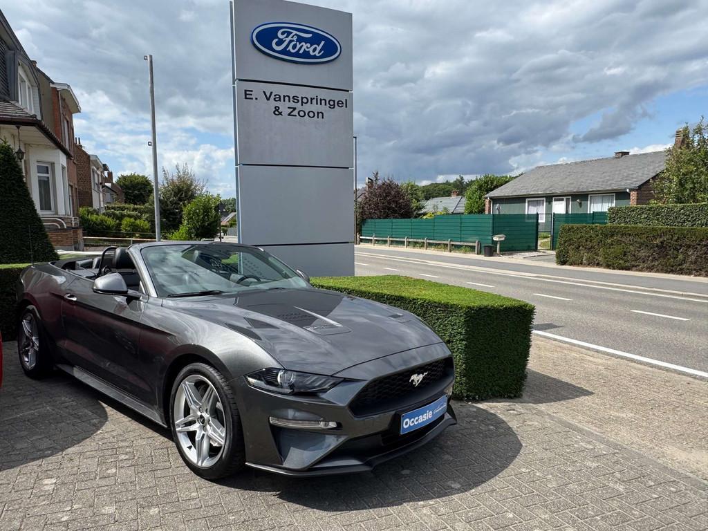 Ford Mustang Mustang Convertible 2.3 EcoBoost (EU6.2), Autos, Ford, Cuir, Argent ou Gris, Achat, Euro 6