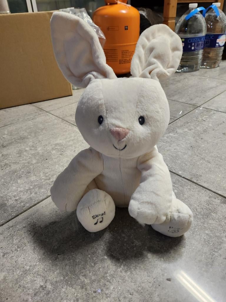 Peluche lapin parlant, Lapin
