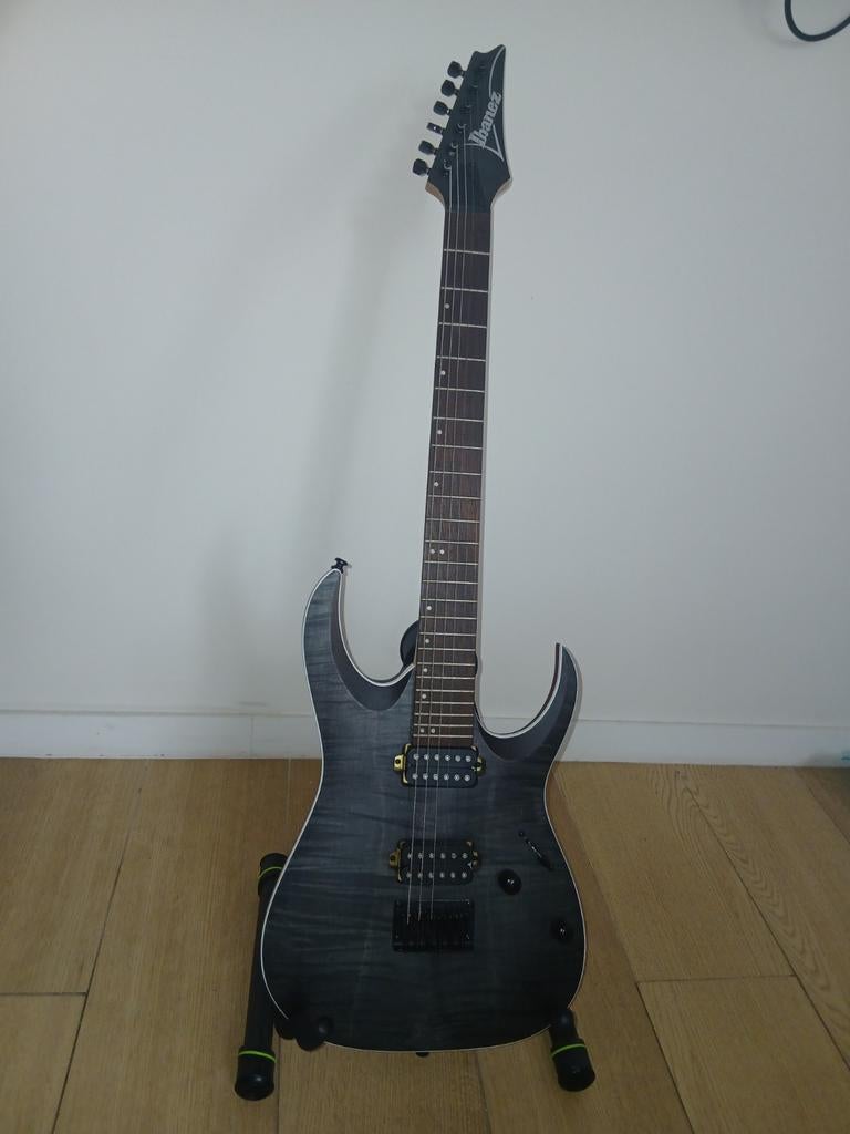 Ibanez RGA42FM, Enlèvement, Ibanez
