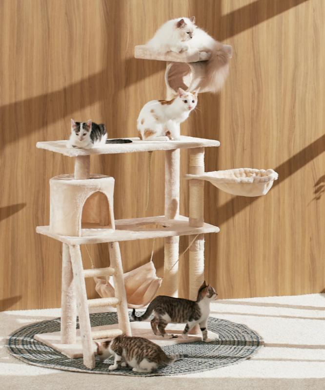 Arbre à chat 1m41 Griffoir chatons Neuf, Animaux & Accessoires, Neuf, Griffoir, Vampira1804@hotmail.com, Pets&gardenshop