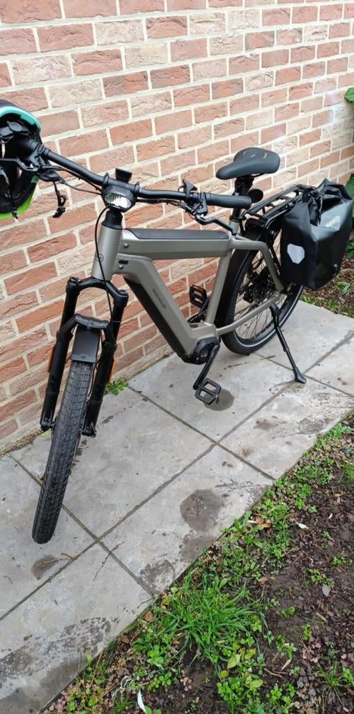 Speedpedelec te koop, Fietsen en Brommers, Ophalen