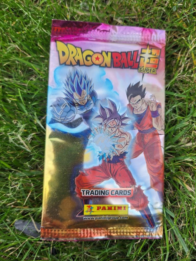 Dragon Ball Panini