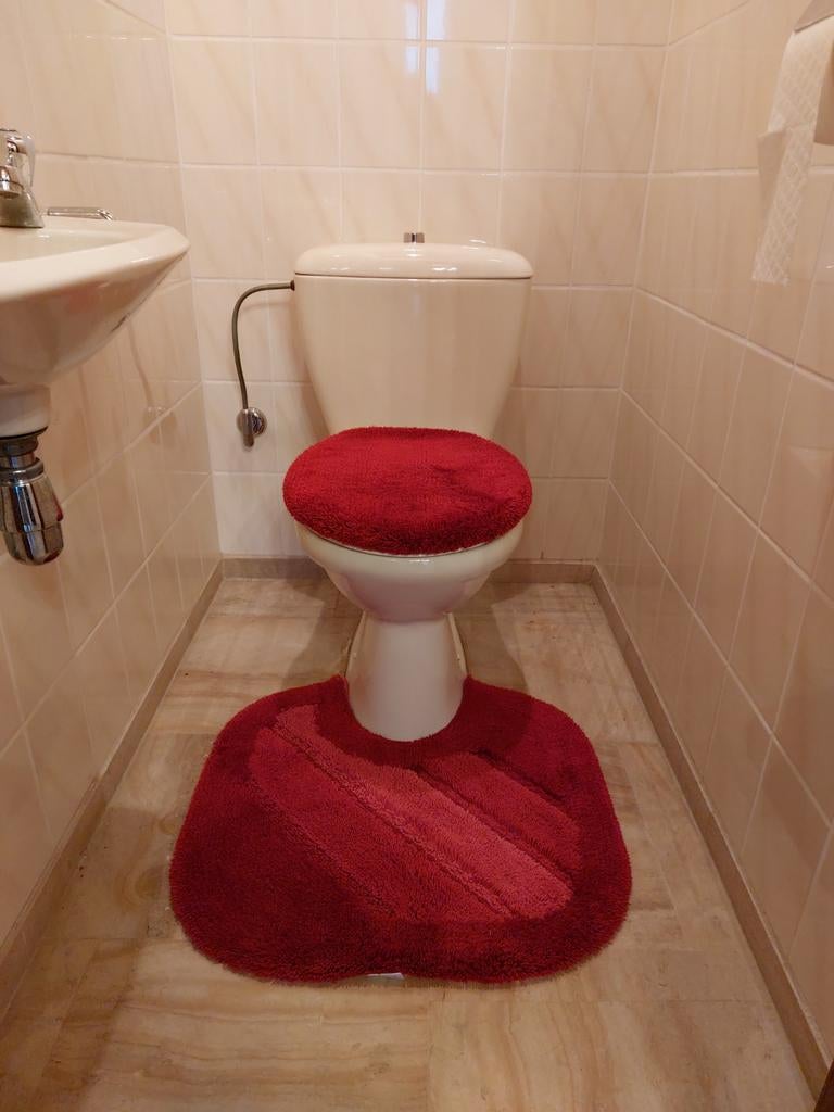 Toilet en lavabo, Gand