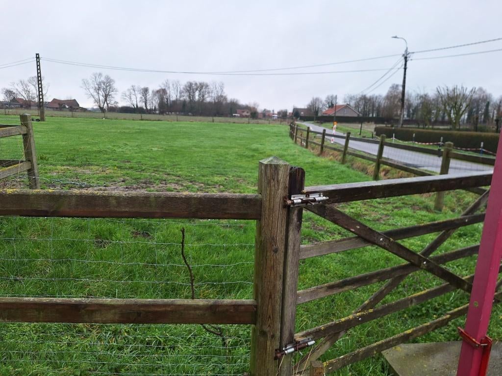 weide te huur op jaarbasis, Weidegang, 2 of 3 paarden of pony's