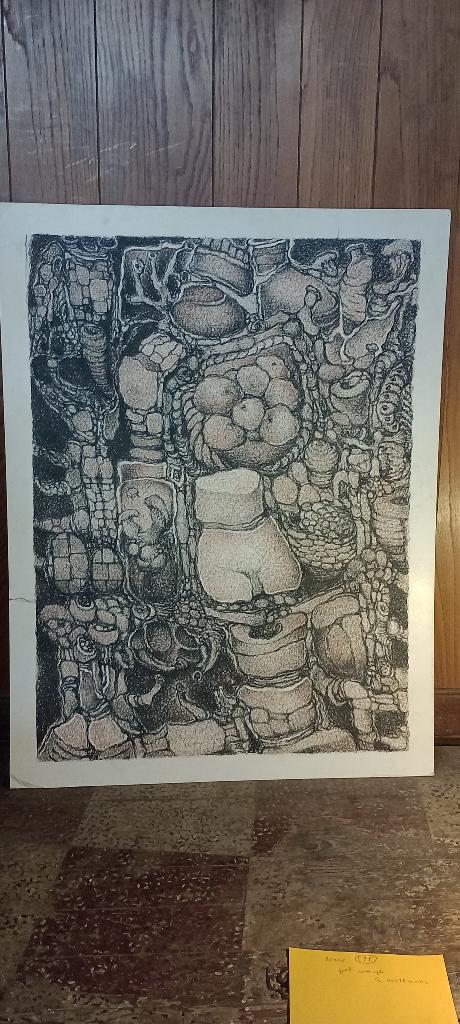 Dessin signé Serge Montegnies, grand format 80x105, n595, Enlèvement