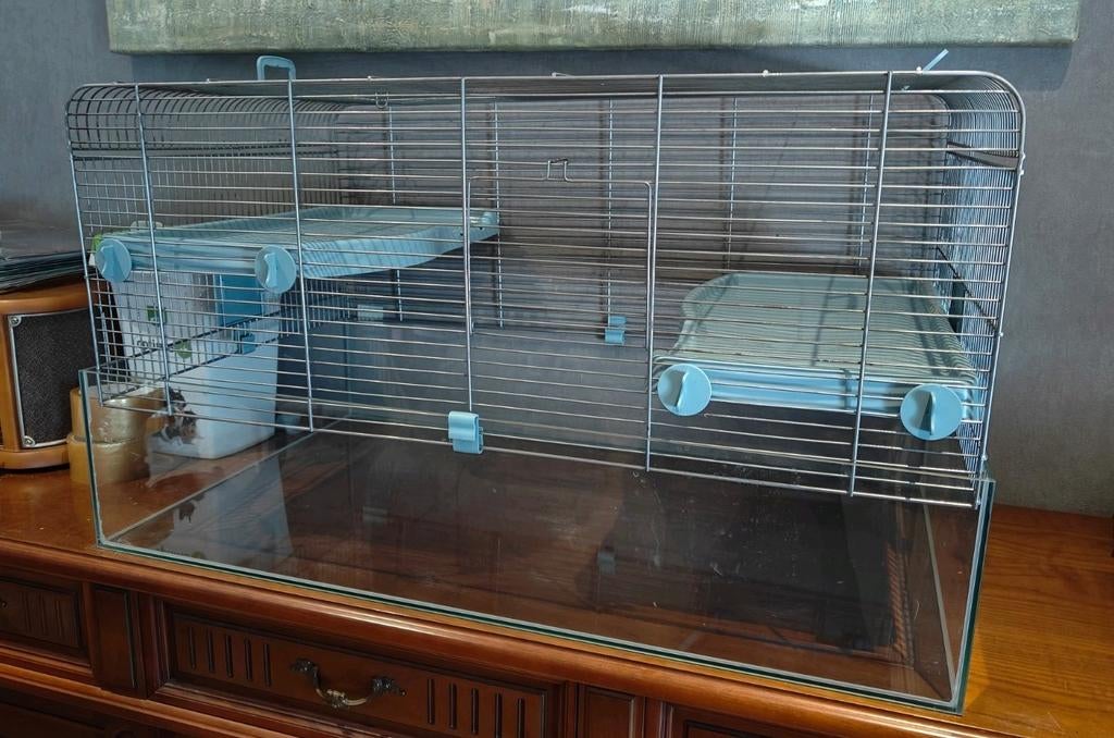 Hamster kooi + accessoires te koop, Ophalen, Kooi, Hamster