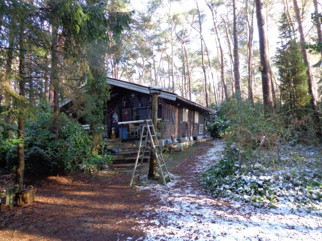 vakantiewoning, In bos, 2 slaapkamers, Antwerpen of Vlaanderen, Landelijk