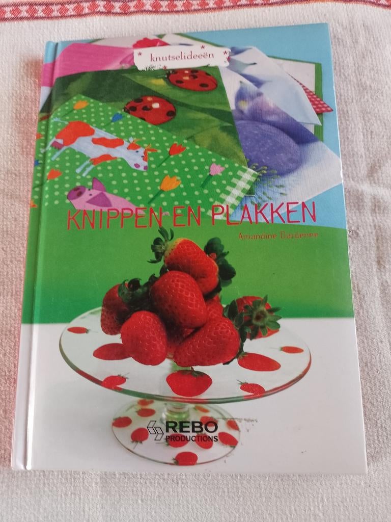 Knutselidee kippen en plakken, Enlèvement ou Envoi, Comme neuf