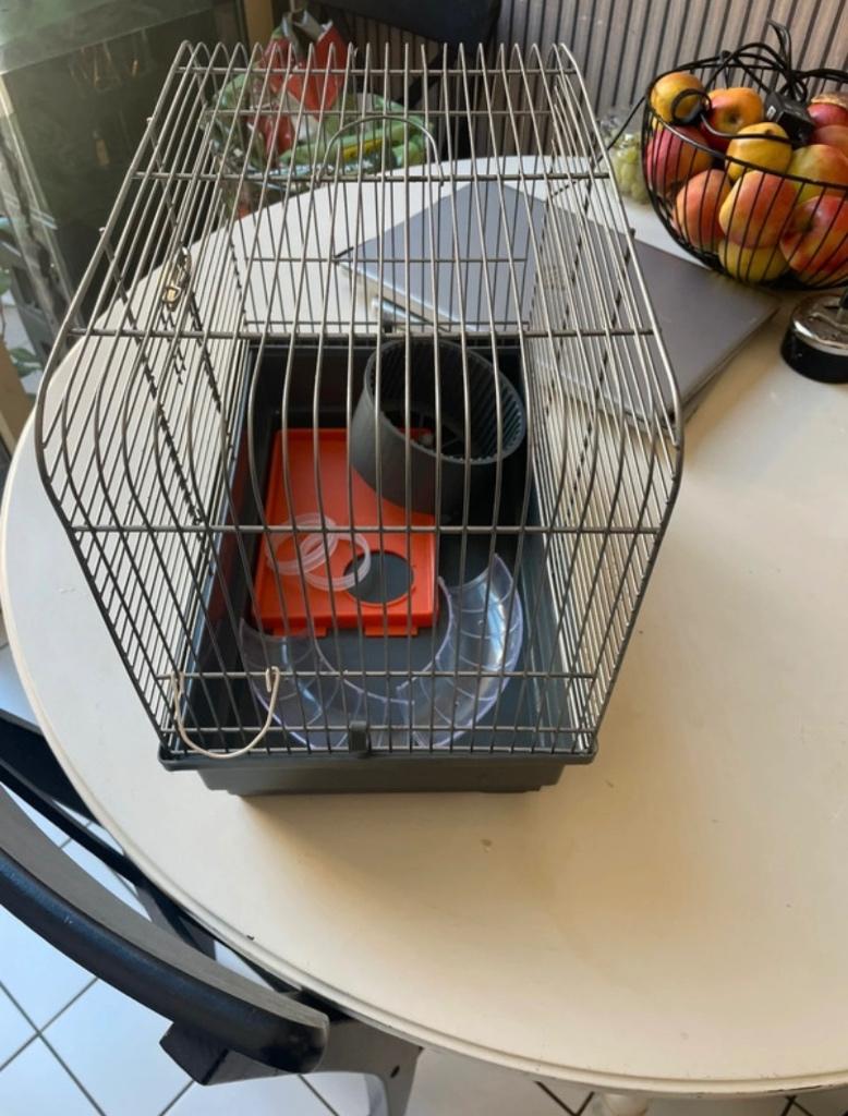 Hamsterkooi, Dieren en Toebehoren, Gebruikt, Minder dan 75 cm, Hok, Muis