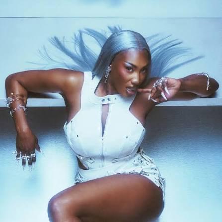 Place de concert Aya Nakamura 31 mai carré or, Tickets & Billets, Concerts | Pop, Une personne, Mai