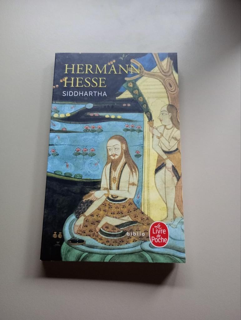Hermann Hesse - Siddhartha, Boeken, Ophalen, Zo goed als nieuw, Hermann Hesse