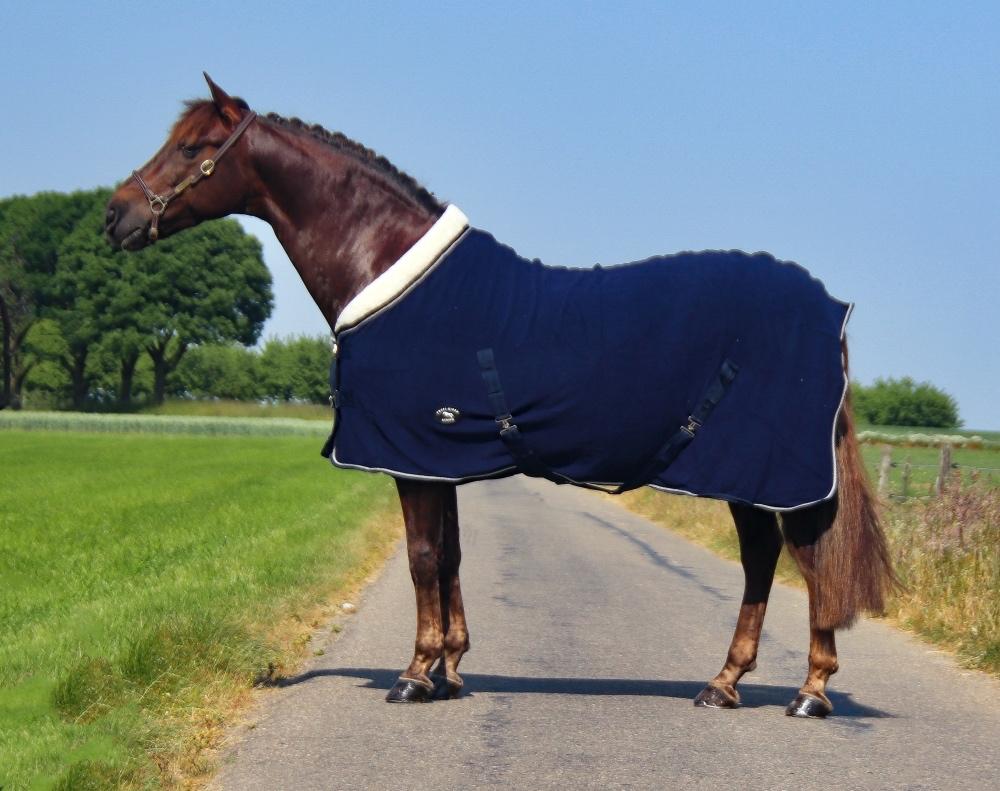 Profi-Rider luxe fleecedeken bontkraag blauw 205 SALE!, Dieren en Toebehoren, Paarden en Pony's | Dekens en Dekjes, Ophalen of Verzenden