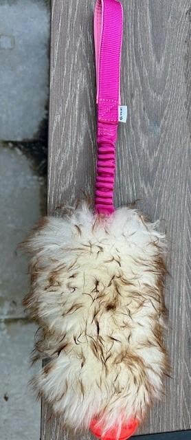 agility speeltje, Dieren en Toebehoren, Ophalen of Verzenden, Nieuw