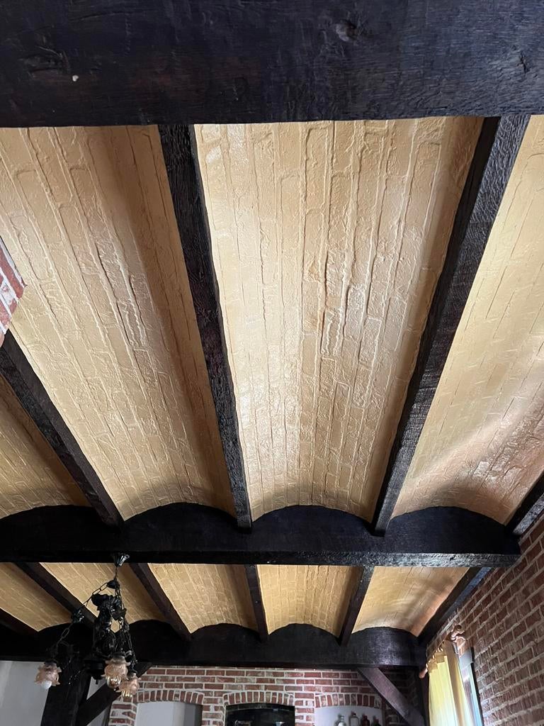 Vals plafond wijnkelder, Maison & Meubles, Maison & Meubles | Autre, Enlèvement