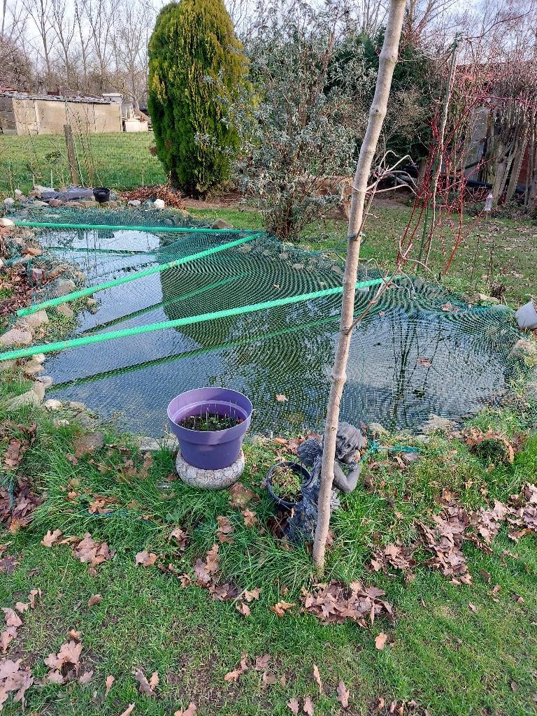 Vijver, Tuin en Terras, Vijver-toebehoren, Gebruikt, Vijverrand, Ophalen