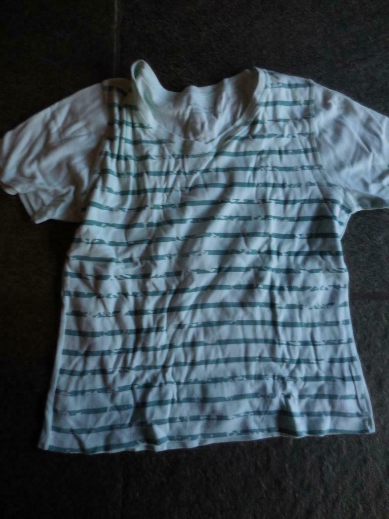 [2150] t-shirt dames M, Ophalen of Verzenden, Gedragen, Maat 38/40 (M), Korte mouw