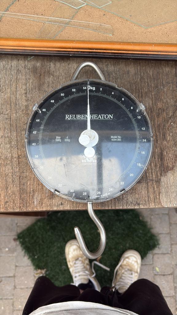 Reubenheaton 54 kg weegschaal, Sports nautiques & Bateaux, Enlèvement, Utilisé