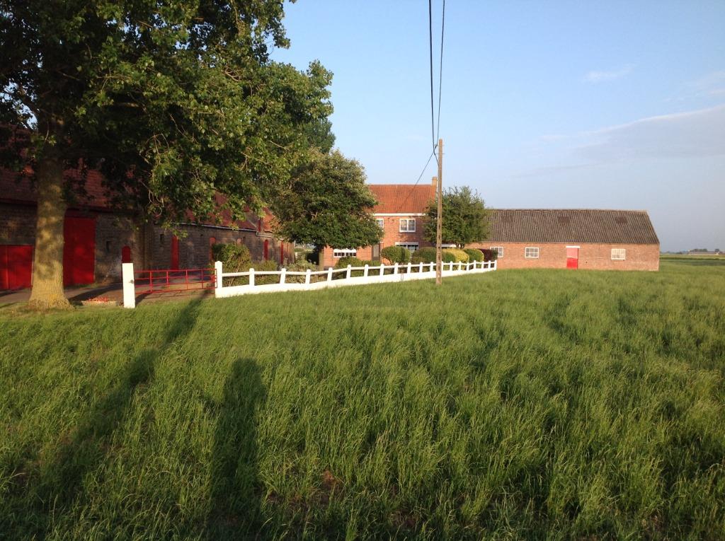 te renoveren hoeve te koop, Immo, 909 kWh/m²/jaar, Middelkerke Slijpe, Overige soorten, 1500 m² of meer