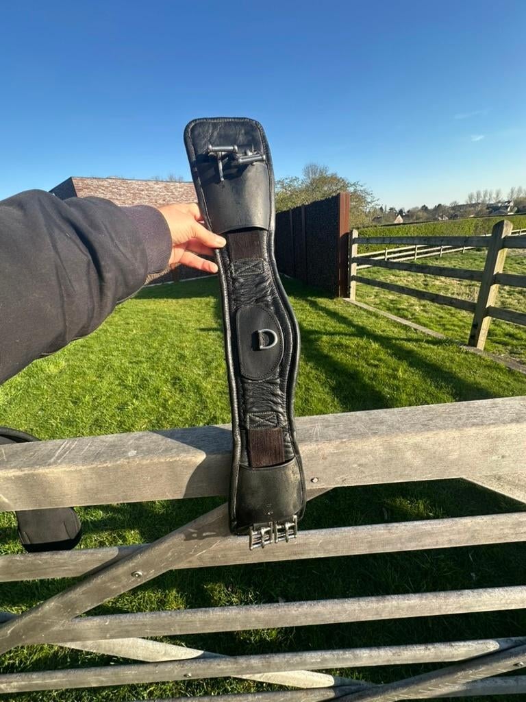 Sangle de dressage en cuir - taille 60 cm, Animaux & Accessoires, Enlèvement ou Envoi, Utilisé, Dressage