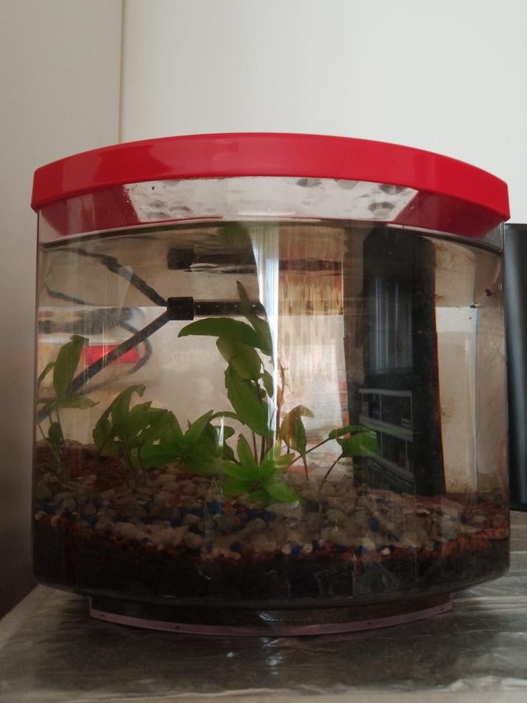 Aquarium avec pompe filtrante., Enlèvement, Comme neuf