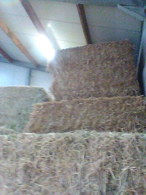 stro, Ophalen of Verzenden