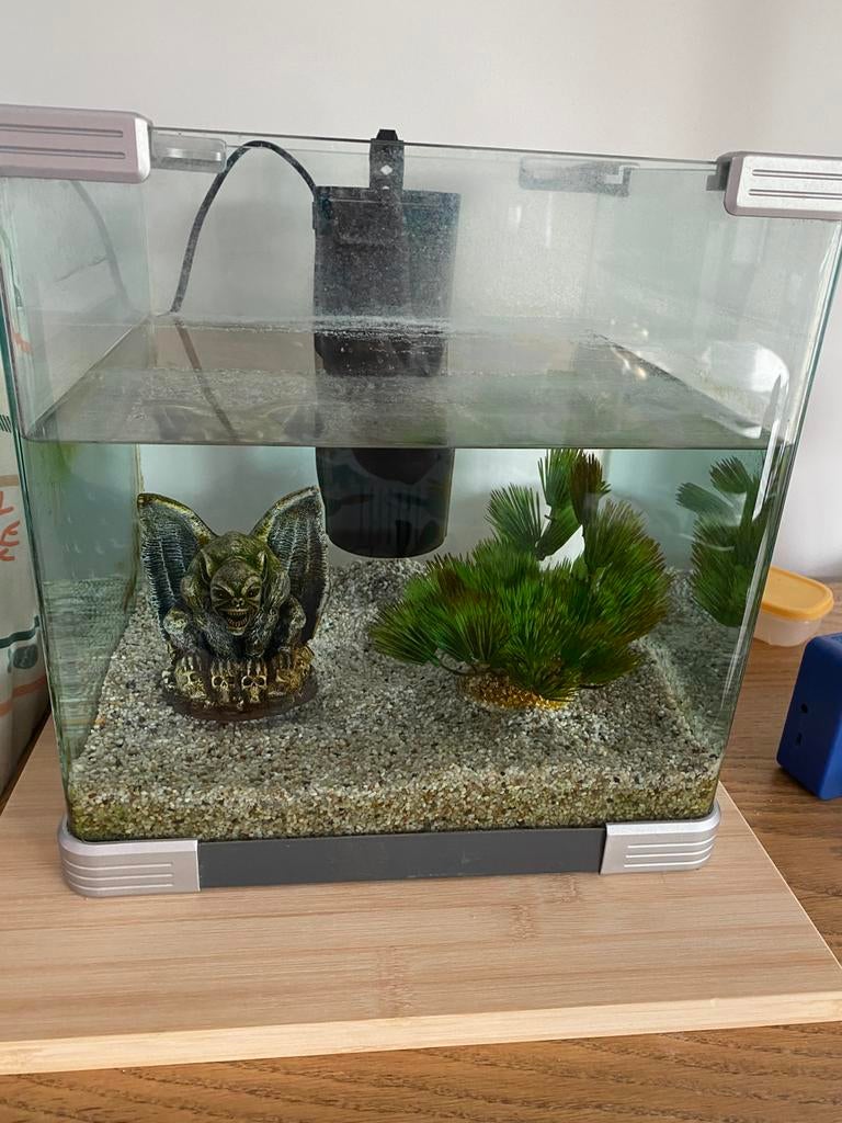 Aquarium 30l + accessoires, Enlèvement, Utilisé
