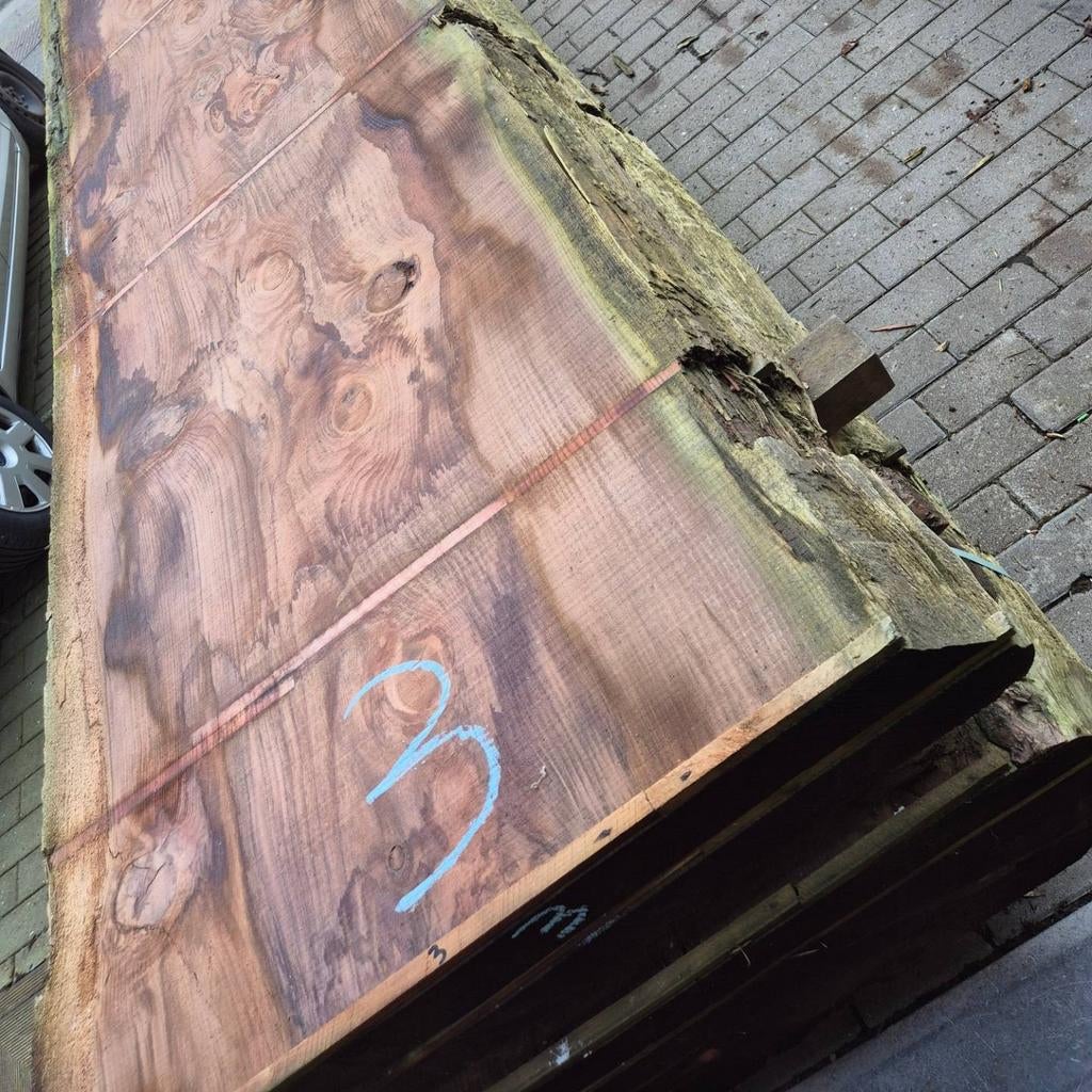 Lot XXL boomstambladen schaaldelen sequoia, Ophalen